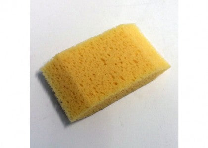 Small Angled Sponge ONLINE EXCLUSIVE