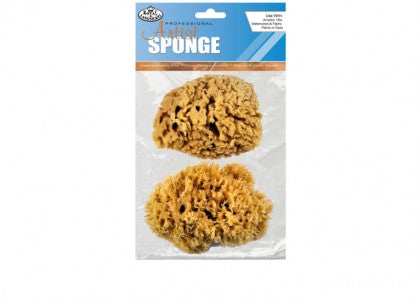 Natural Sponges Assorted Sizes ONLINE EXCLUSIVE